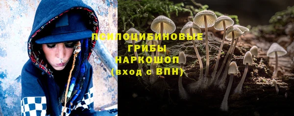 каннабис Арсеньев