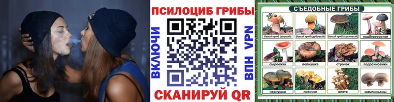 Галлюциногенные грибы ЛСД  Купить где  Невьянск 
